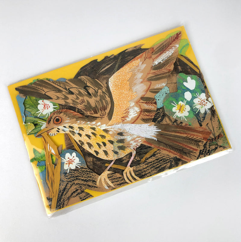 Nest Concertina Die Cut Card by Mark Hearld