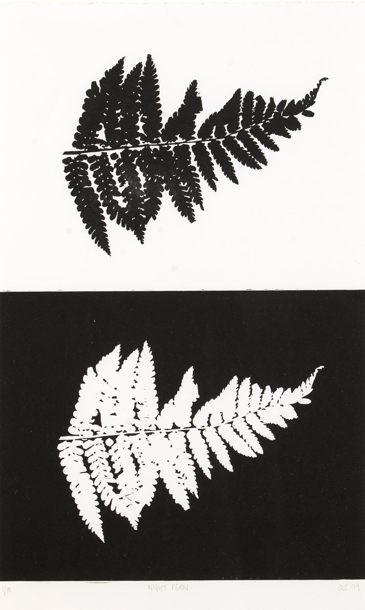 Night Fern