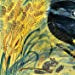 Nature Poems: Give Me Instead of a Card by Nicola Davies