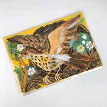 Nest Concertina Die Cut Card by Mark Hearld