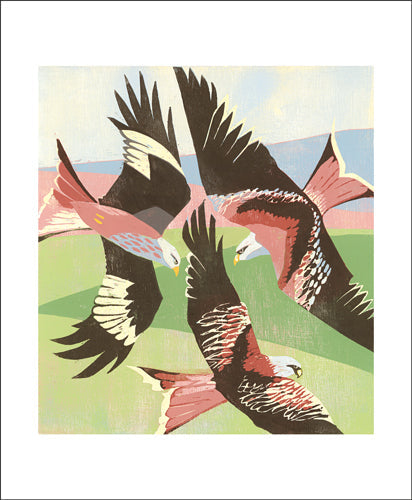 Red Kites, Laurieston by Lisa Hooper