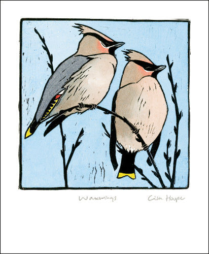 Waxwings by Lisa Hooper