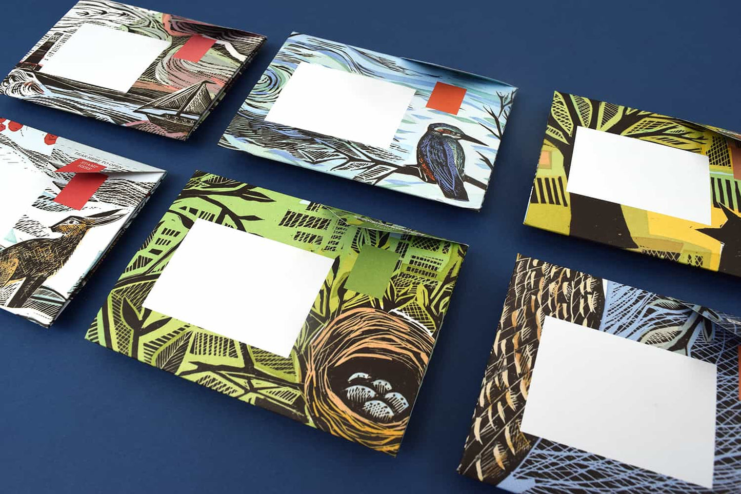 Pigeon Posted - Letters Reinvented - Wonderfully Wild