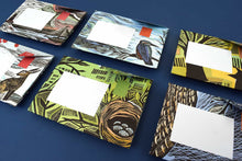 Pigeon Posted - Letters Reinvented - Wonderfully Wild