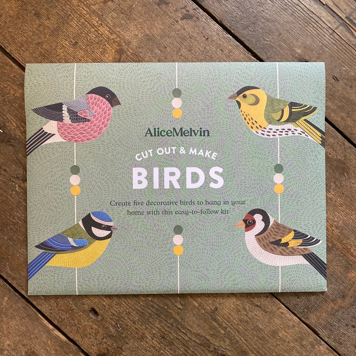 Cut Out & Make British Birds Kit by Alice Melvin