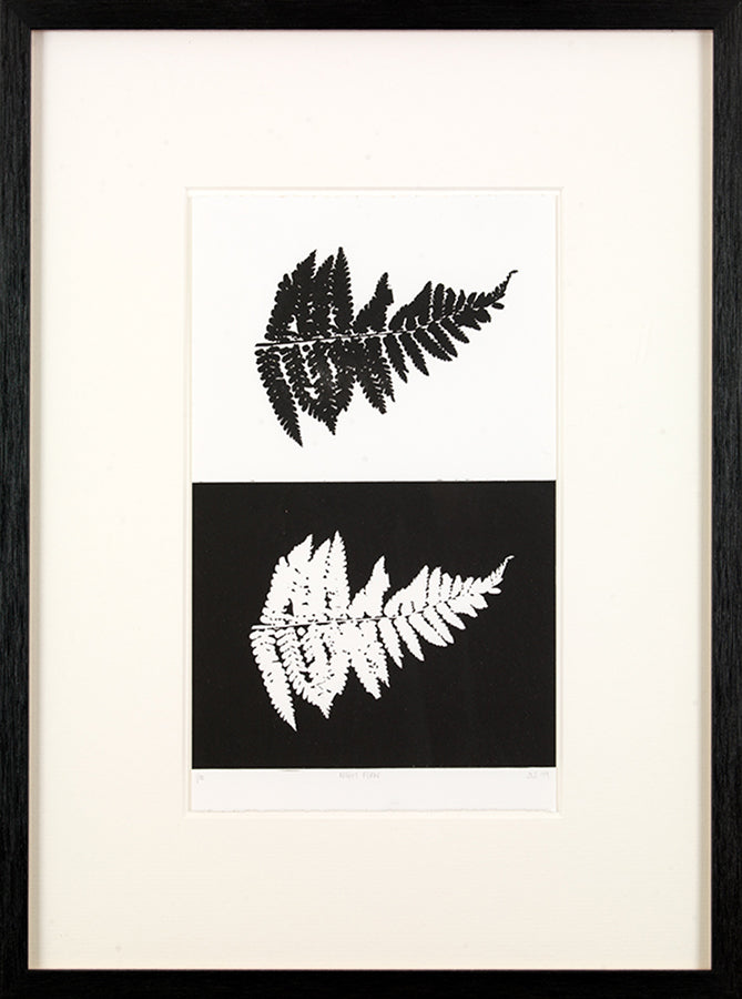 Night Fern