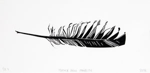 Feather from Monreith