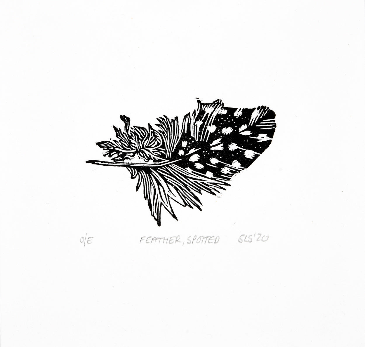 Feather, Spotted
