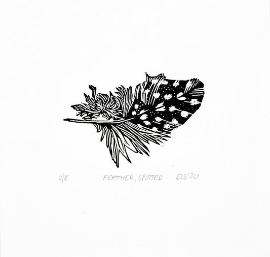 Feather, Spotted