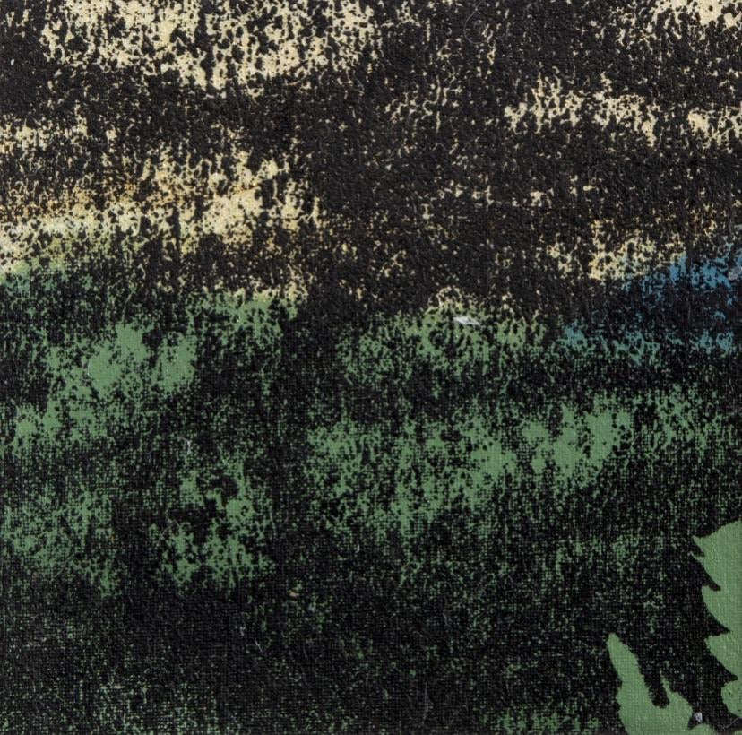 Shaded Woods Monoprints