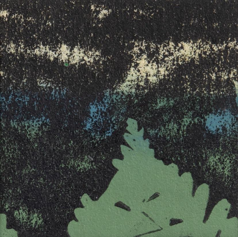 Shaded Woods Monoprints