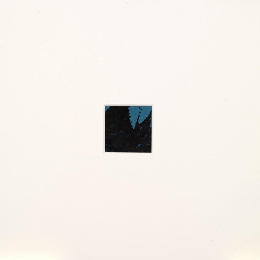 Shaded Woods Monoprints