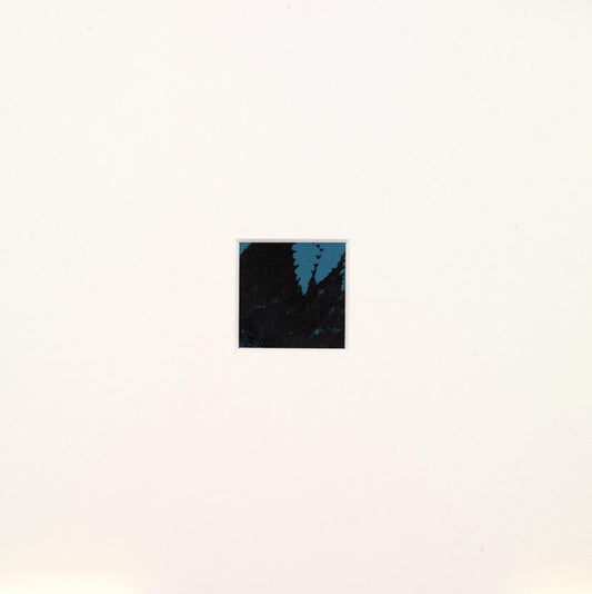 Shaded Woods Monoprints
