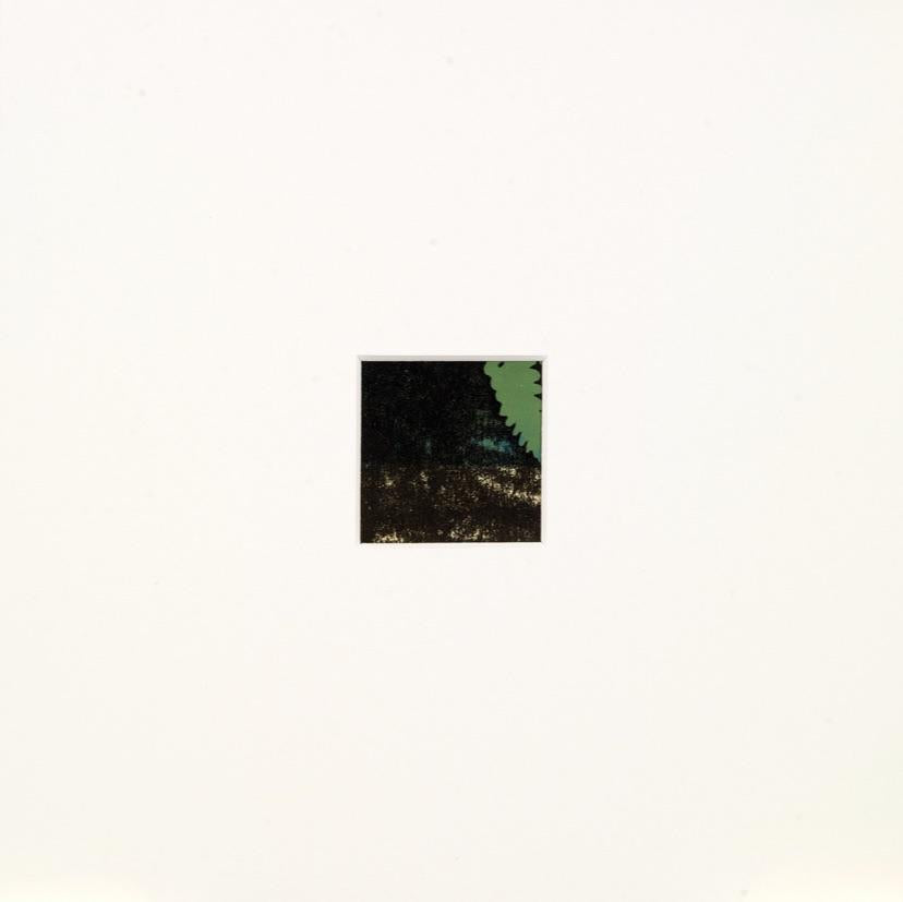 Shaded Woods Monoprints