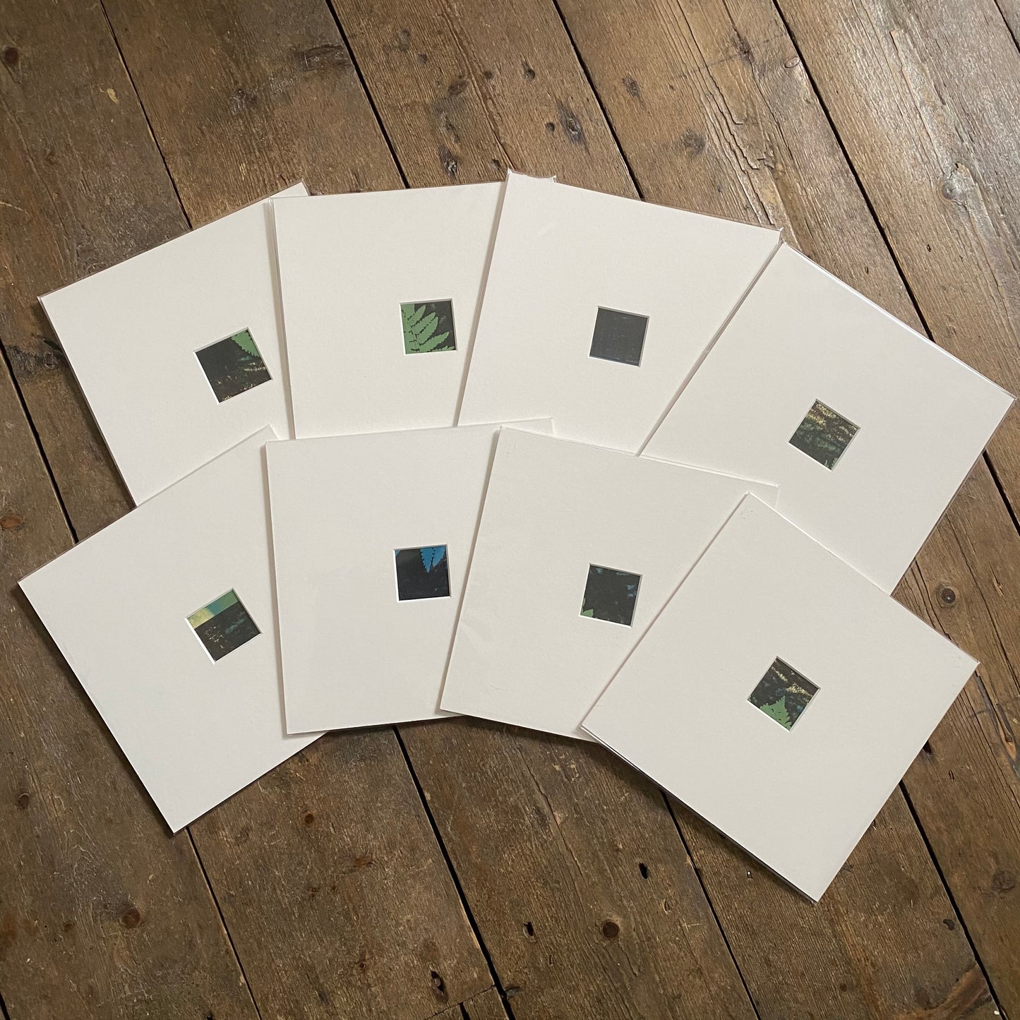 Shaded Woods Monoprints