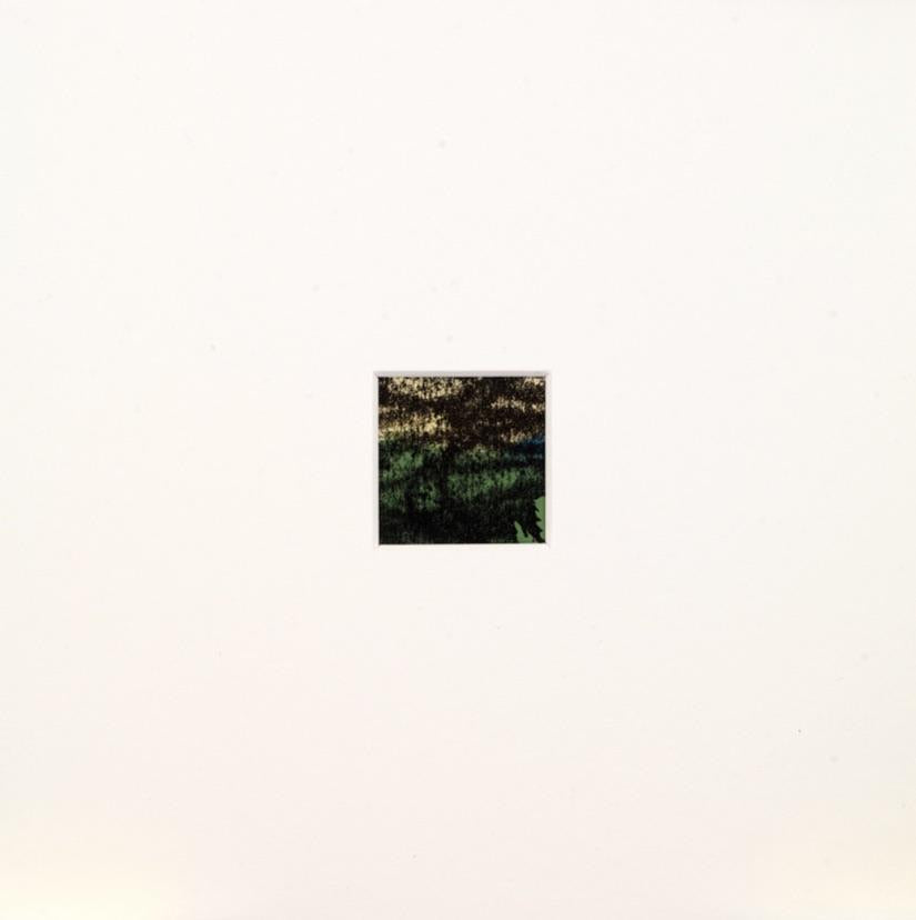 Shaded Woods Monoprints