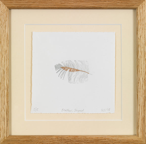 Feather, Striped